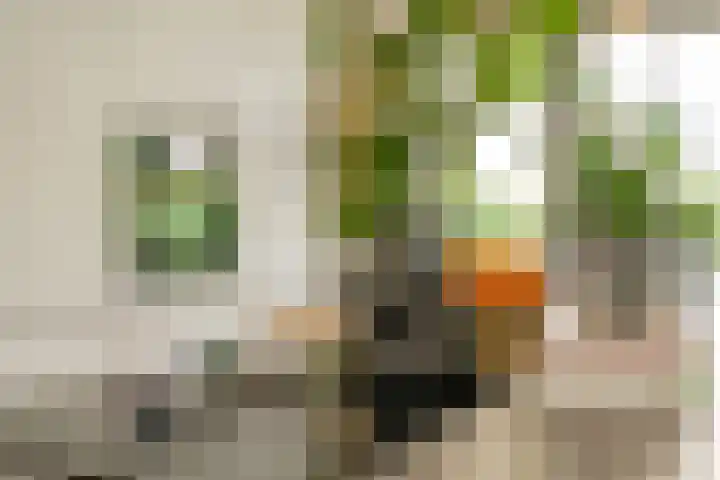 Iepenlaan 4 Bussum thumbnail 29