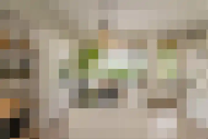 Iepenlaan 4 Bussum thumbnail 30