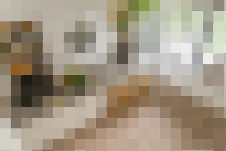 Iepenlaan 4 Bussum thumbnail 33