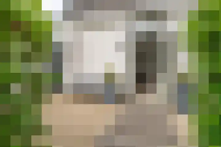 Iepenlaan 4 Bussum thumbnail 4