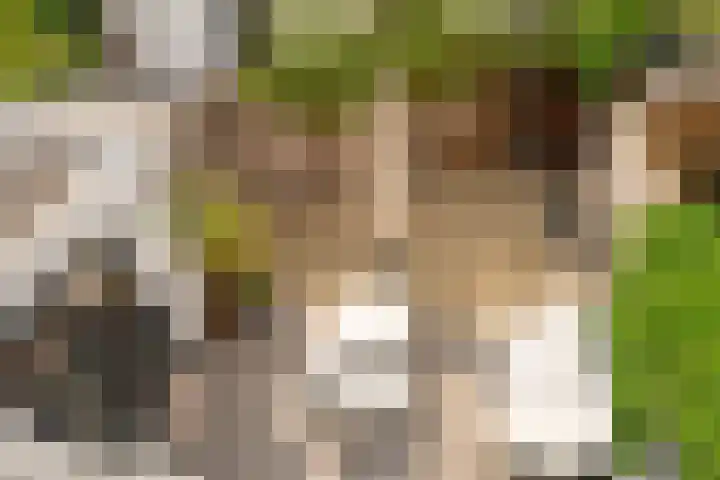 Iepenlaan 4 Bussum thumbnail 44