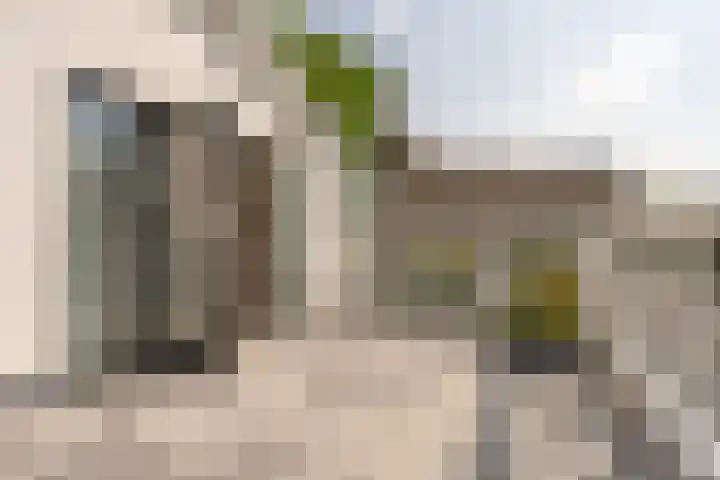 Iepenlaan 4 Bussum thumbnail 45