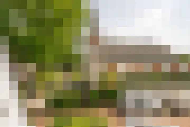 Iepenlaan 4 Bussum thumbnail 46
