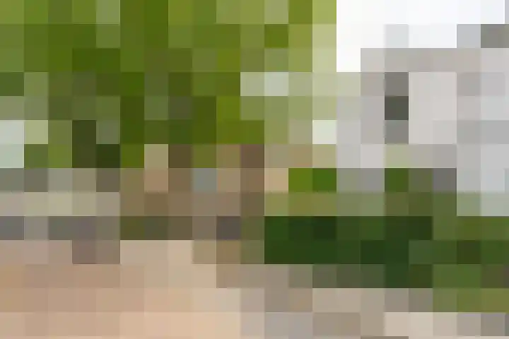 Iepenlaan 4 Bussum thumbnail 47