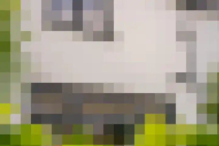 Iepenlaan 4 Bussum thumbnail 48