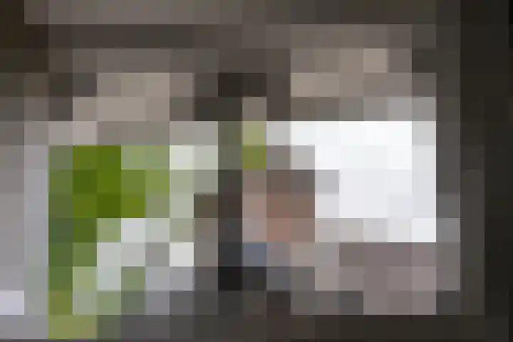 Iepenlaan 4 Bussum thumbnail 6