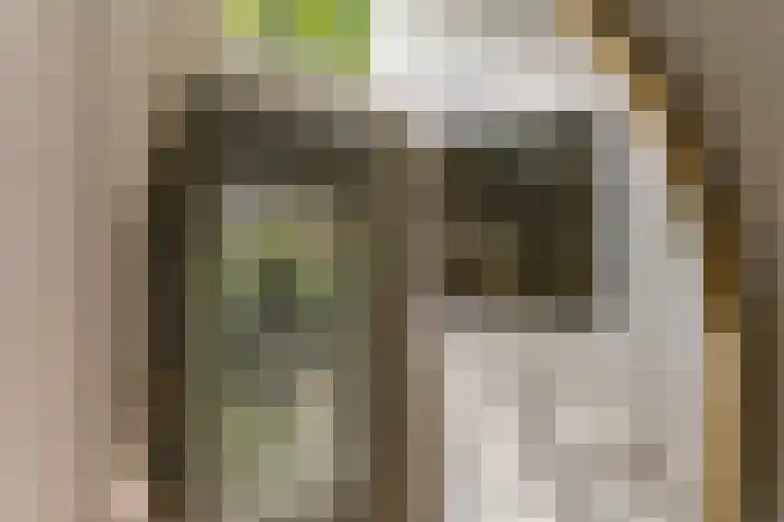Iepenlaan 4 Bussum thumbnail 7
