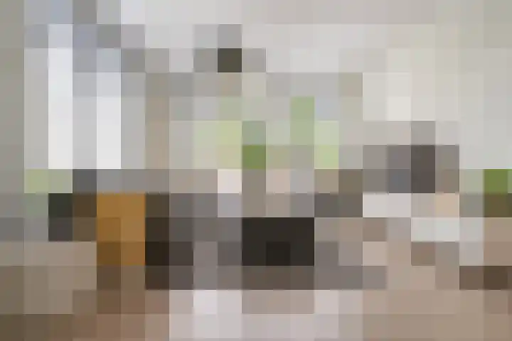 Iepenlaan 4 Bussum thumbnail 8