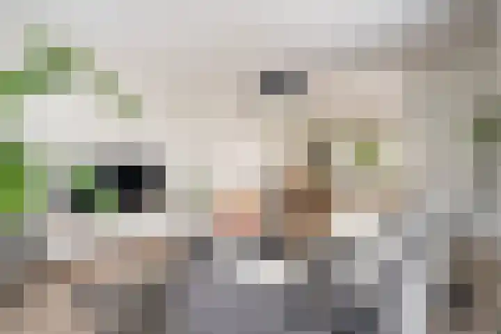 Iepenlaan 4 Bussum thumbnail 9