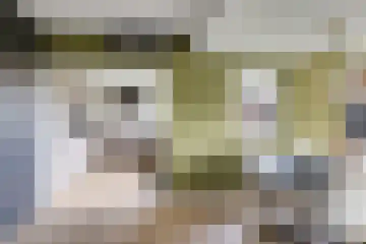 Iepenlaan 4 Doetinchem thumbnail 14