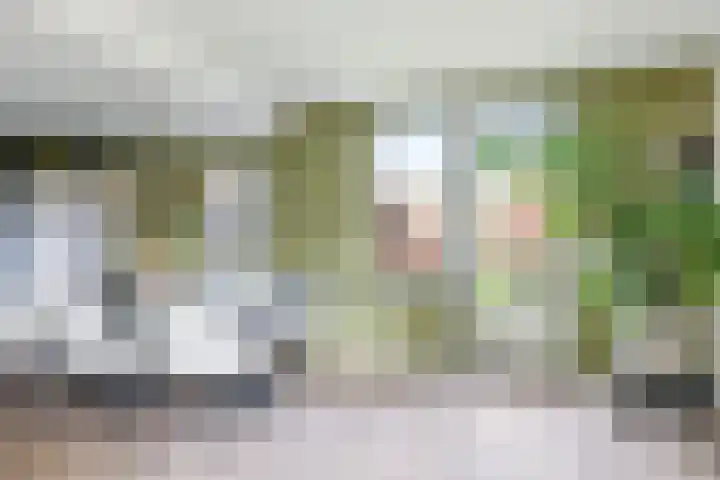 Iepenlaan 4 Doetinchem thumbnail 23