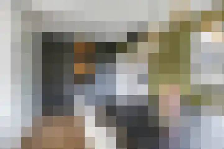 Iepenlaan 4 Doetinchem thumbnail 25