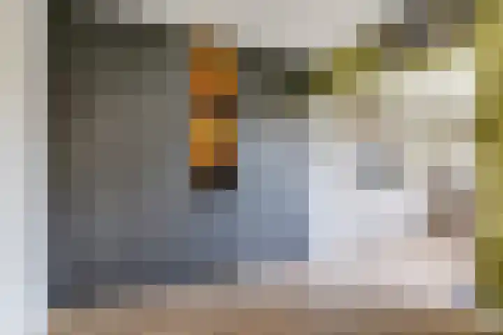 Iepenlaan 4 Doetinchem thumbnail 27