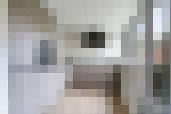 Iepenlaan 4 Doetinchem thumbnail 28