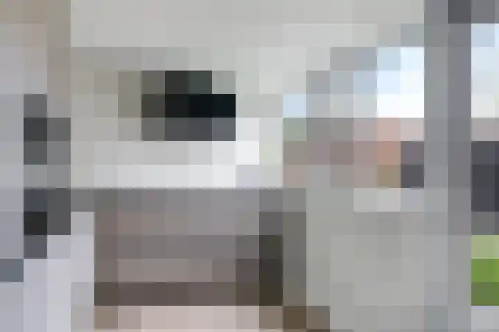 Iepenlaan 4 Doetinchem thumbnail 29