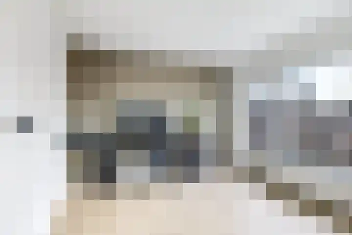 Iepenlaan 4 Doetinchem thumbnail 38