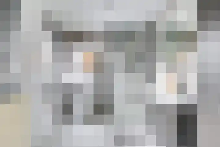 Iepenlaan 4 Doetinchem thumbnail 41
