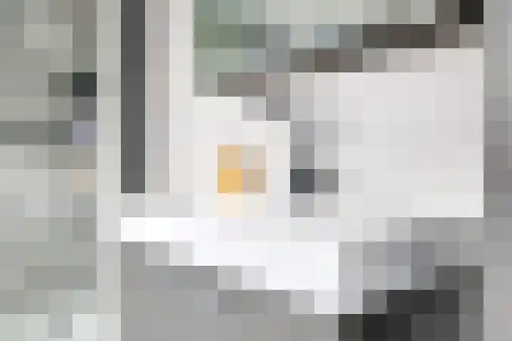 Iepenlaan 4 Doetinchem thumbnail 42