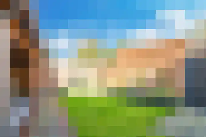 Iepenlaan 4 Doetinchem thumbnail 53