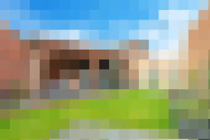 Iepenlaan 4 Doetinchem thumbnail 54