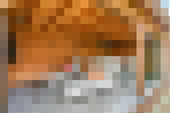 Iepenlaan 4 Doetinchem thumbnail 55