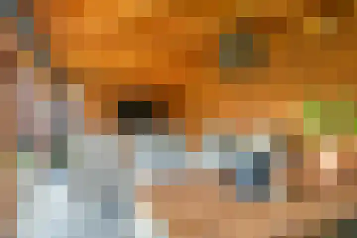Iepenlaan 4 Doetinchem thumbnail 58