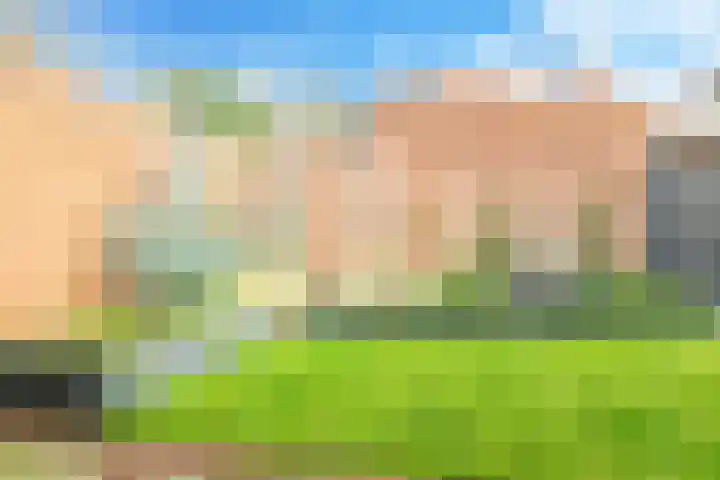Iepenlaan 4 Doetinchem thumbnail 60