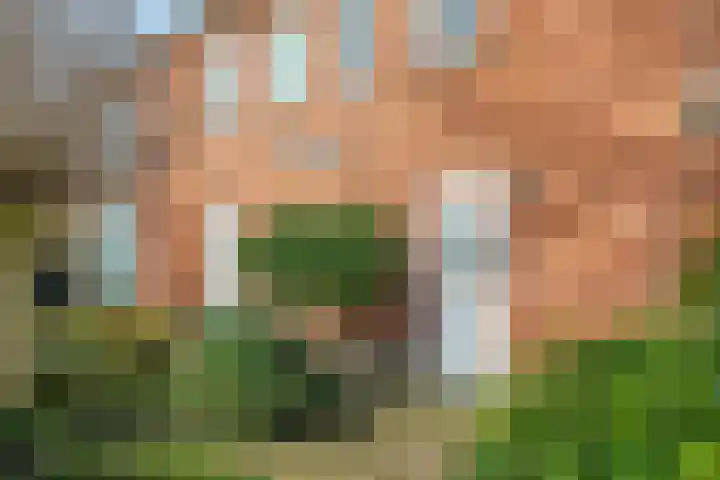 Iepenlaan 4 Doetinchem thumbnail 9