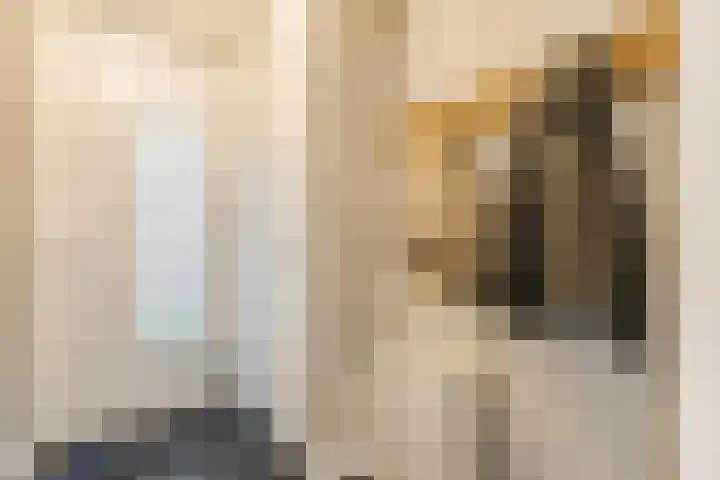 Iepenlaan 40 Rouveen thumbnail 20