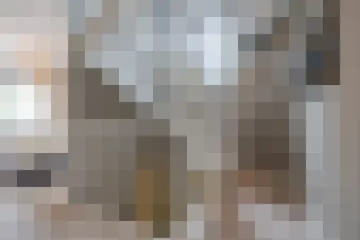 Iepenlaan 40 Rouveen thumbnail 23