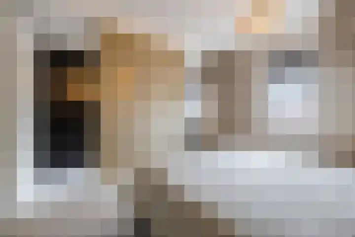 Iepenlaan 40 Rouveen thumbnail 26