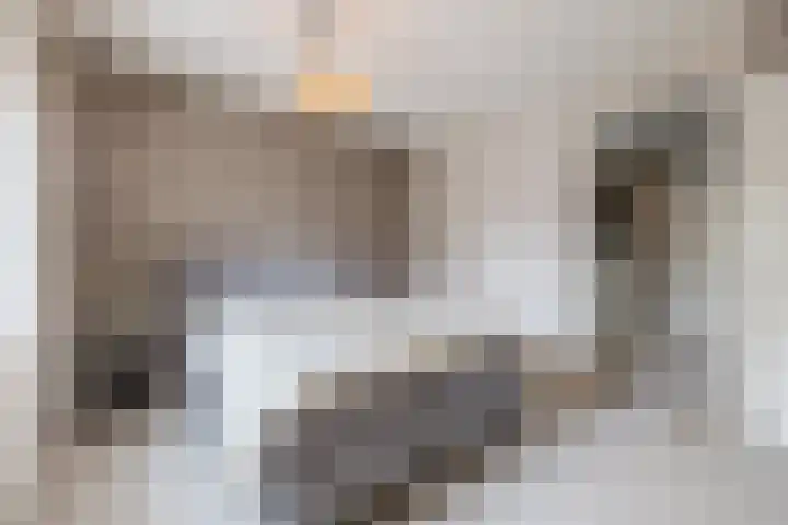 Iepenlaan 40 Rouveen thumbnail 30
