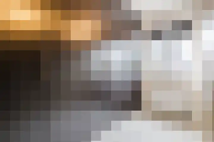Iepenlaan 40 Rouveen thumbnail 32