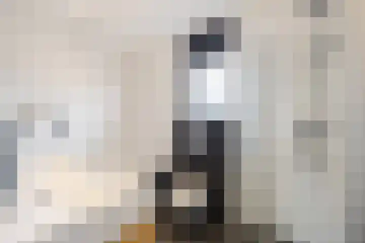Iepenlaan 40 Rouveen thumbnail 34