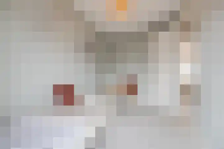 Iepenlaan 40 Rouveen thumbnail 39