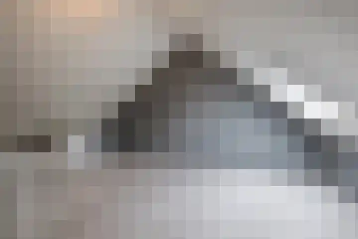 Iepenlaan 40 Rouveen thumbnail 43