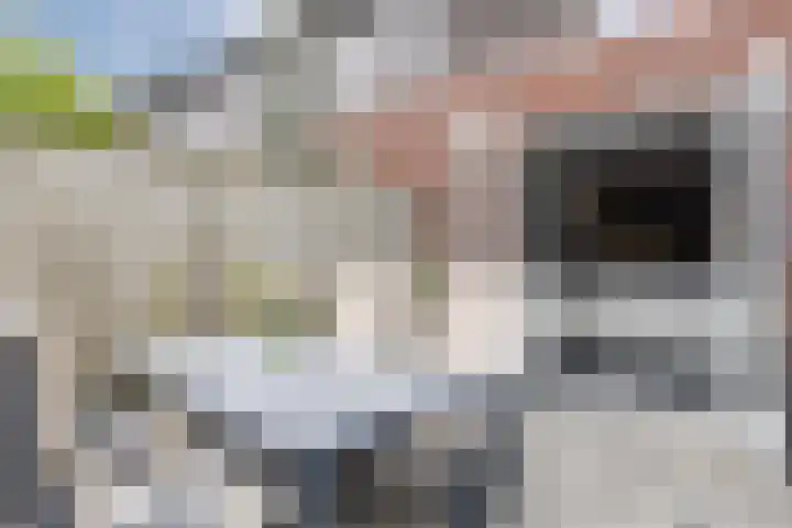 Iepenlaan 40 Rouveen thumbnail 51