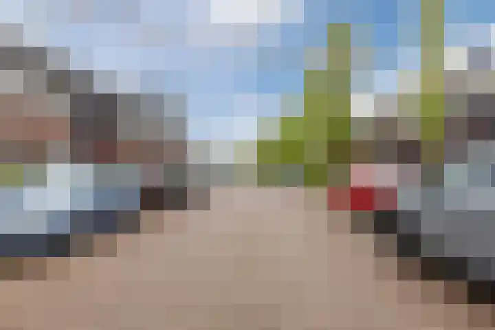 Iepenlaan 40 Rouveen thumbnail 54