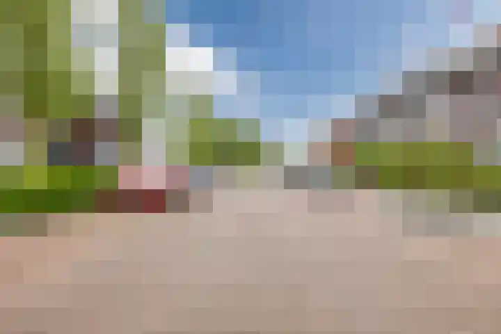 Iepenlaan 40 Rouveen thumbnail 55