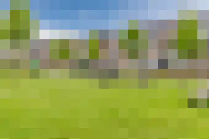 Iepenlaan 40 Rouveen thumbnail 56