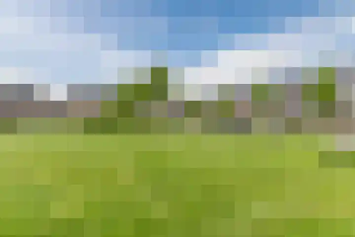 Iepenlaan 40 Rouveen thumbnail 57