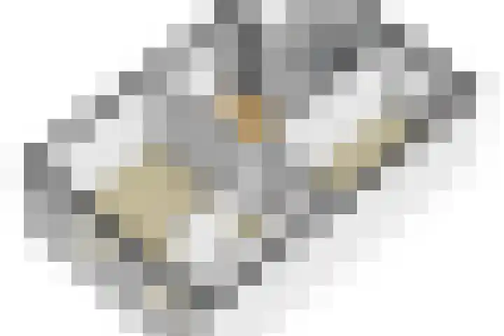 Iepenlaan 40 Rouveen thumbnail 64