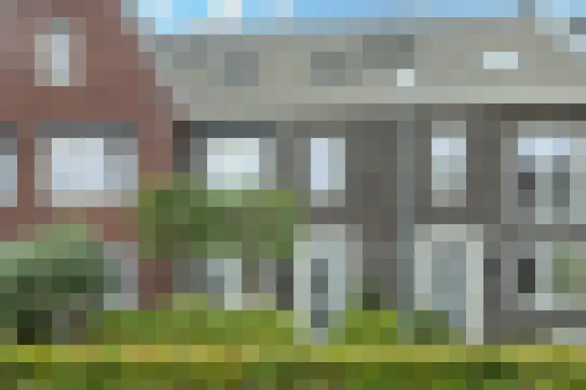 Iepenlaan 41 in Dirksland
