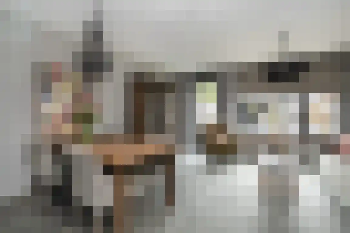 Iepenlaan 41 Dirksland thumbnail 12
