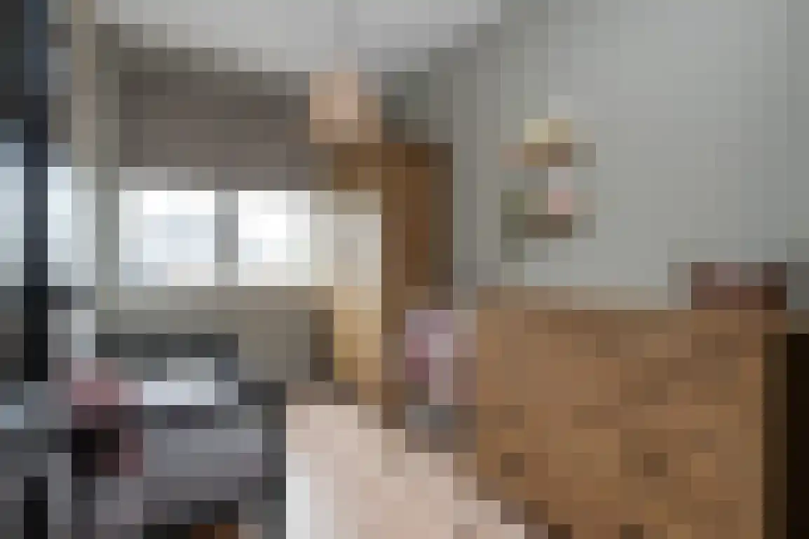 Iepenlaan 41 Dirksland thumbnail 23