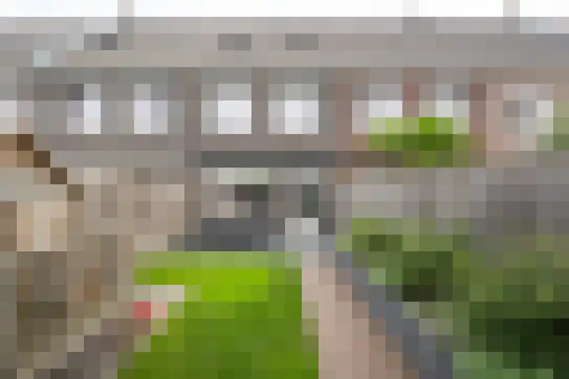 Iepenlaan 41 Dirksland thumbnail 31
