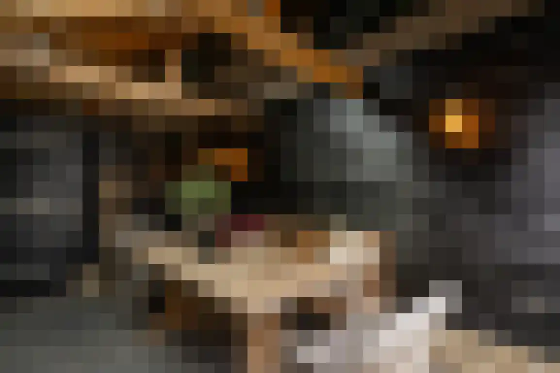 Iepenlaan 41 Dirksland thumbnail 34