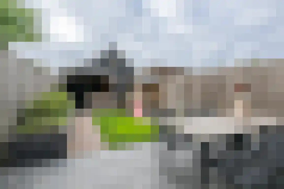 Iepenlaan 41 Dirksland thumbnail 36