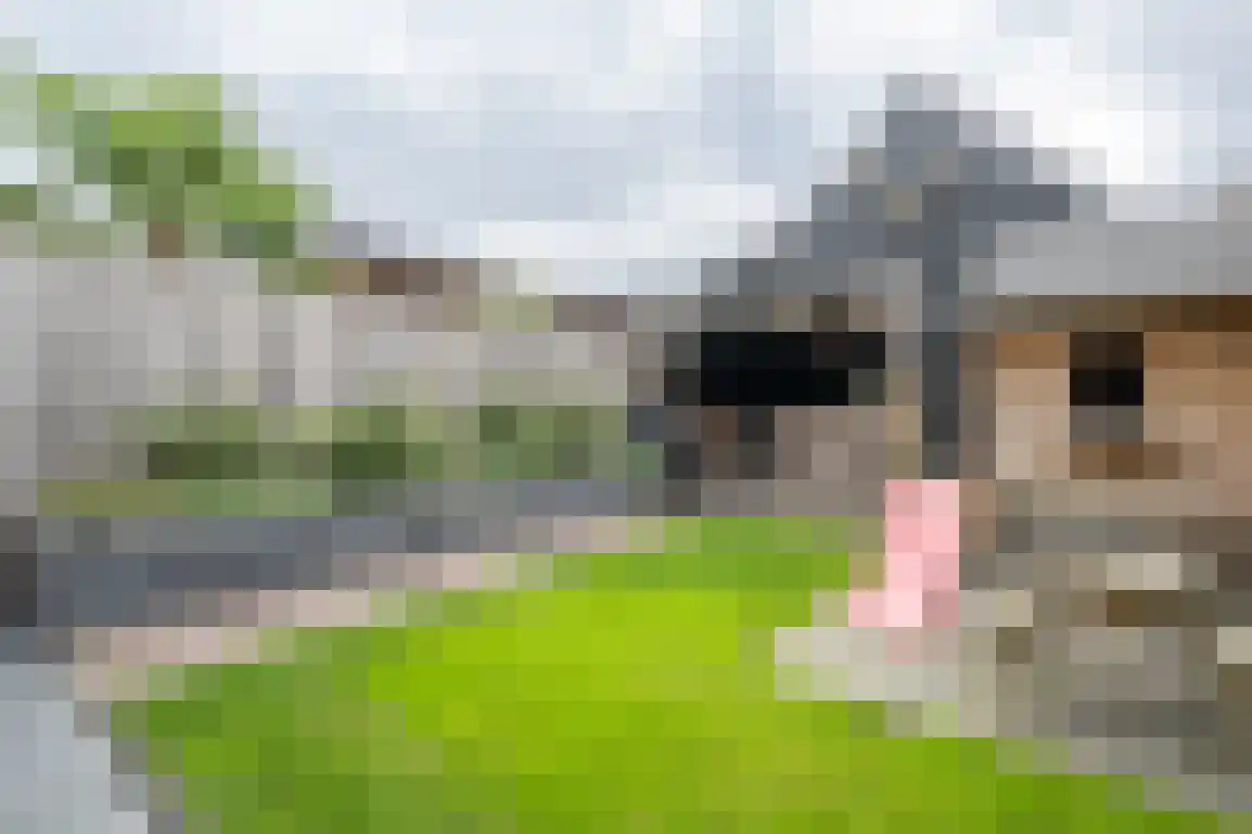 Iepenlaan 41 Dirksland thumbnail 37