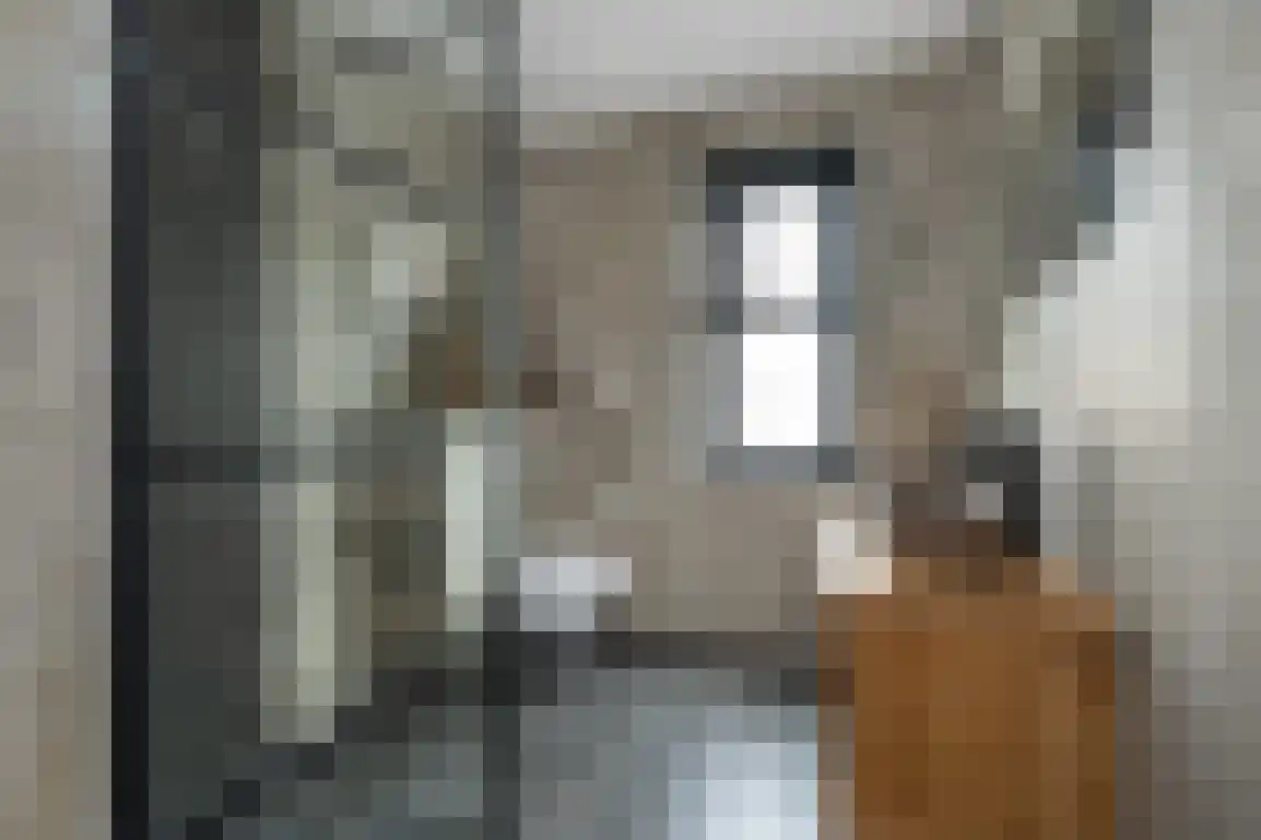Iepenlaan 41 Dirksland thumbnail 4
